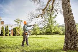 Best Tree Maintenance Programs  in Franklin Rk, PA
