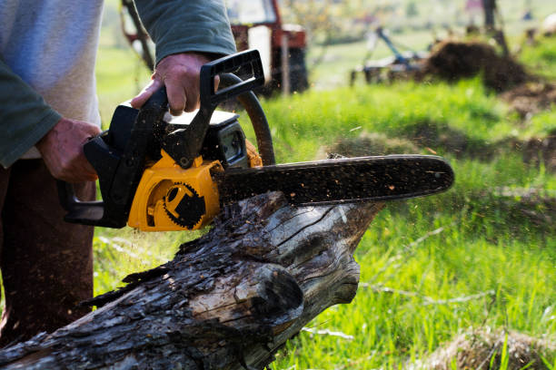 Best Utility Line Clearance  in Franklin Rk, PA